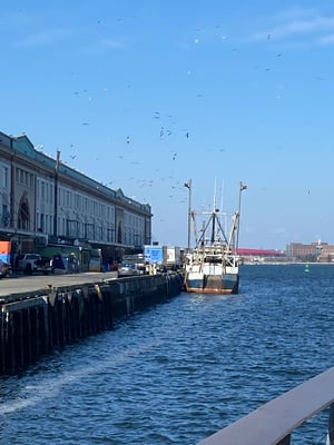 IMG_8636