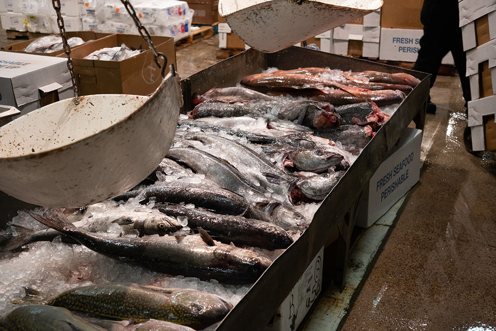 Mastering Inventory: Key to Success in Seafood Distribution